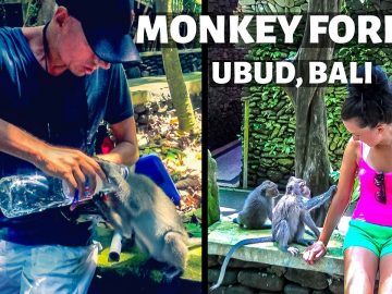 Privat: [ID: n-TD6iHuioM] Youtube Automatic