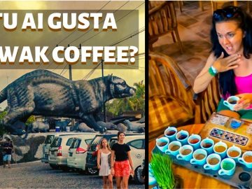 Privat: [ID: Nfr3C3y33JQ] Youtube Automatic