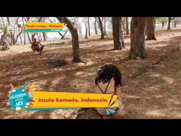 Privat: [ID: LvxAW8V2siE] Youtube Automatic