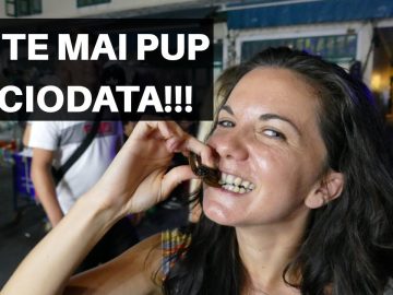 Privat: [ID: dh7CrOZlVz0] Youtube Automatic