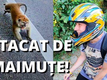 Privat: [ID: H79mZ_HzpR8] Youtube Automatic