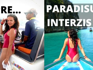 [ID: gOvD1iOeHO8] Youtube Automatic