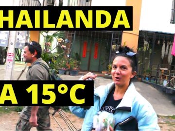 Privat: [ID: SehiPw6-saI] Youtube Automatic