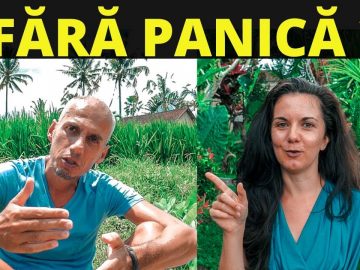 Privat: [ID: A0tprAQLI-A] Youtube Automatic