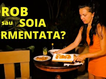 Privat: [ID: ptss0gwzbLA] Youtube Automatic