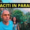 Privat: [ID: OOoHF-vbgKU] Youtube Automatic