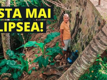 Privat: [ID: t_EGhKUU3iI] Youtube Automatic