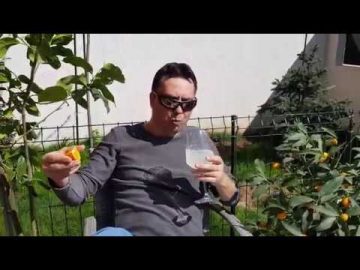 [ID: xZTLbuSt9iI] Youtube Automatic