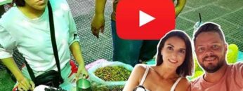 [ID: ccOgC9gZiXU] Youtube Automatic