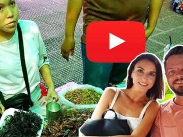 [ID: ccOgC9gZiXU] Youtube Automatic