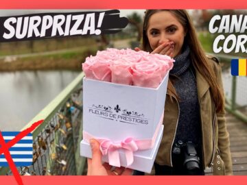 [ID: GuiiF2Wv5hc] Youtube Automatic