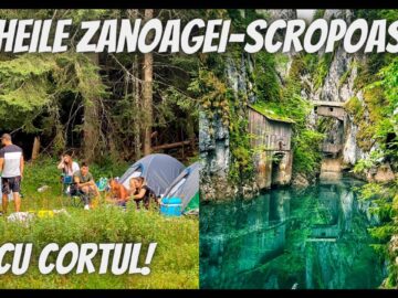 [ID: hScoZqVnJ44] Youtube Automatic