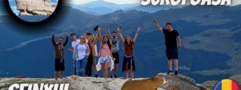 [ID: LaU7TsANA24] Youtube Automatic