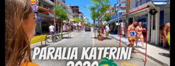 [ID: MGv2KRVdJZ4] Youtube Automatic