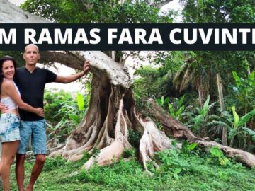 Privat: [ID: L8dUuYbqp38] Youtube Automatic