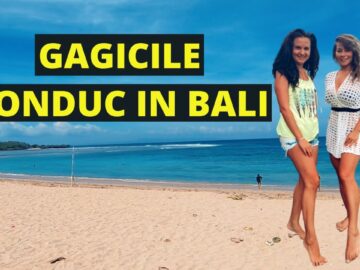 Privat: [ID: Nq8vdvJL1IQ] Youtube Automatic