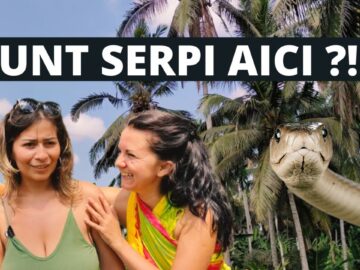 Privat: [ID: rewwPSMjIxQ] Youtube Automatic