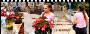 [ID: 4-cY_FAY6uA] Youtube Automatic