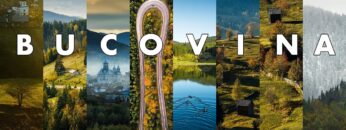 [ID: 4WZ4jdHbGpM] Youtube Automatic