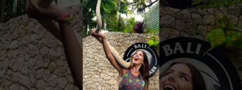 [ID: 5-_wVm-DoZc] Youtube Automatic