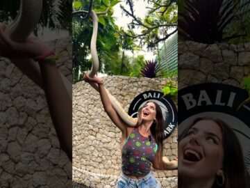 [ID: 5-_wVm-DoZc] Youtube Automatic