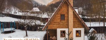 [ID: 6w4Zgrwl_ts] Youtube Automatic