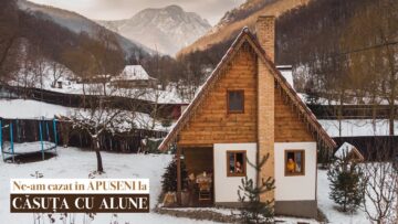 [ID: 6w4Zgrwl_ts] Youtube Automatic