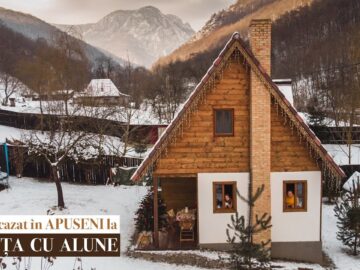 [ID: 6w4Zgrwl_ts] Youtube Automatic