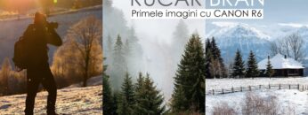 [ID: EZalSyFBbPM] Youtube Automatic