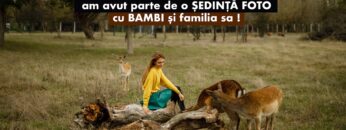 [ID: -lS2AAfnztI] Youtube Automatic