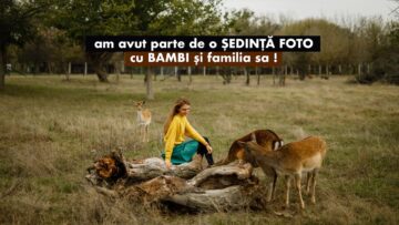 [ID: -lS2AAfnztI] Youtube Automatic