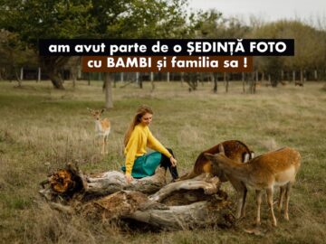 [ID: -lS2AAfnztI] Youtube Automatic