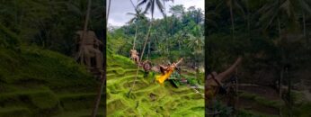 [ID: mvX1xPdJhy0] Youtube Automatic