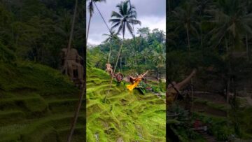 [ID: mvX1xPdJhy0] Youtube Automatic