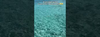 [ID: Nm9NXgtxIzo] Youtube Automatic