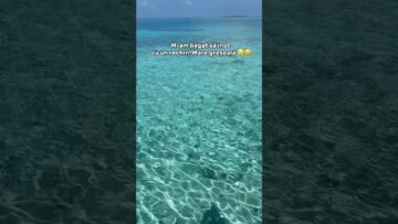 [ID: Nm9NXgtxIzo] Youtube Automatic