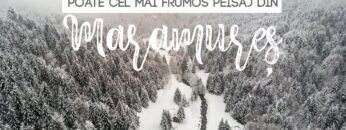 [ID: pjSiRhjrxKw] Youtube Automatic