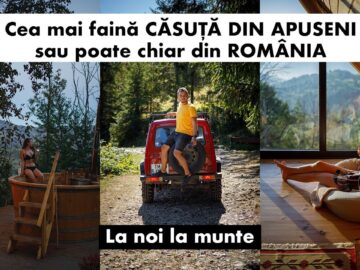 [ID: rRdZRRefLP4] Youtube Automatic