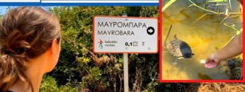 [ID: SxkPyhZjVmQ] Youtube Automatic