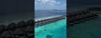 [ID: t49NP9L-mXc] Youtube Automatic