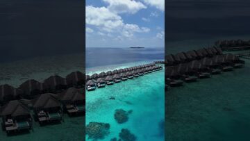 [ID: t49NP9L-mXc] Youtube Automatic