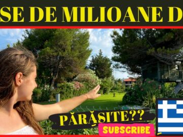 [ID: tD6hKkvvpD8] Youtube Automatic