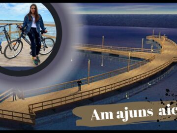 [ID: tHortJiNZeY] Youtube Automatic