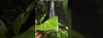 [ID: USl9GD9u57s] Youtube Automatic