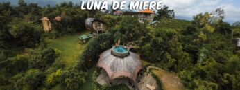 [ID: XtHSiR5dnls] Youtube Automatic