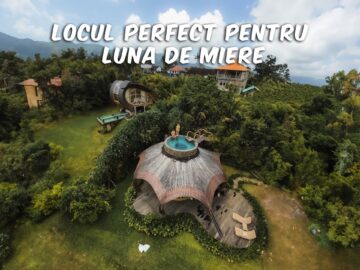 [ID: XtHSiR5dnls] Youtube Automatic