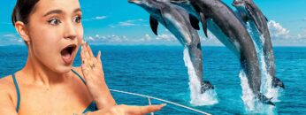 [ID: Ytq2F_BzTEU] Youtube Automatic