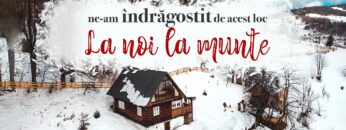 [ID: ZixFJD9tkcA] Youtube Automatic